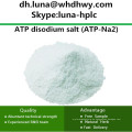 China Versorgung CAS: 987-65-5 ATP-Na2 / ATP Dinatrium Salz Adenosin